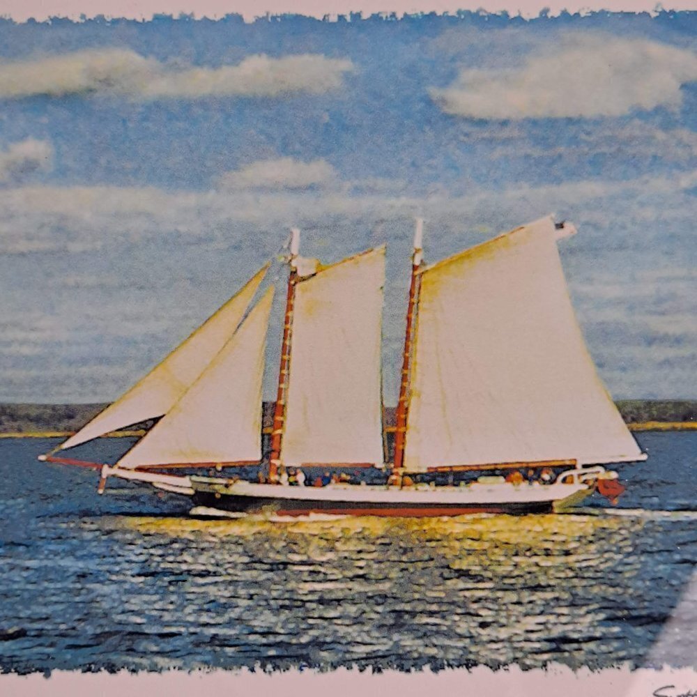 "White Sails" Print White Frame Signed by Artist Scott Griswold - Picture 2 of 7